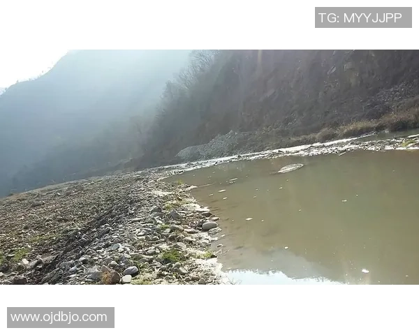 塔帅:咱们这一周心思和身体都阅历了巨大应战,整体是活跃的